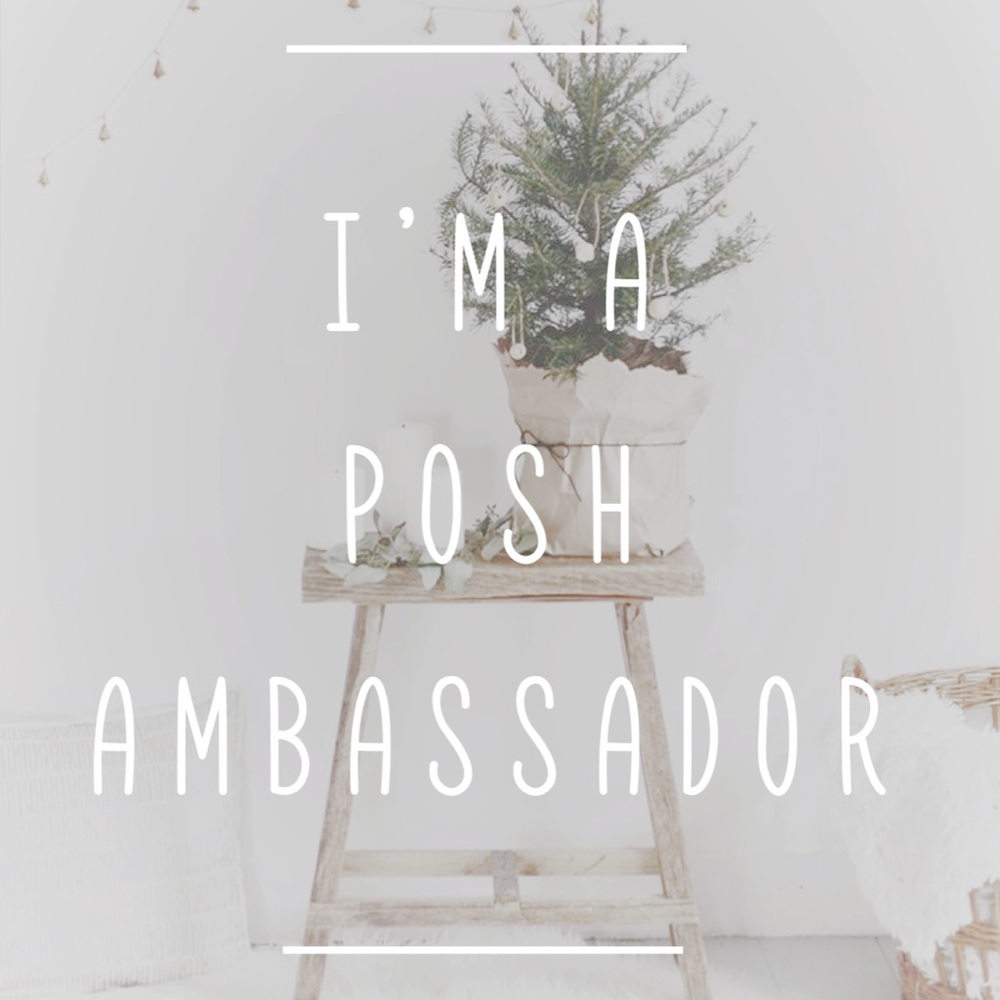 🖤. *• . Posh ambassador status . •* .🖤